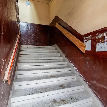 Lion's Bridge Haven - *