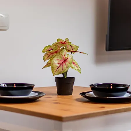 Lion's Bridge Haven - *