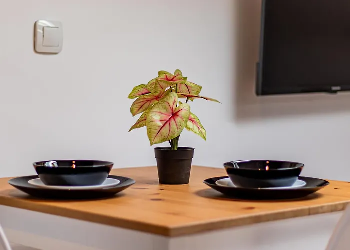 Lion's Bridge Haven - *