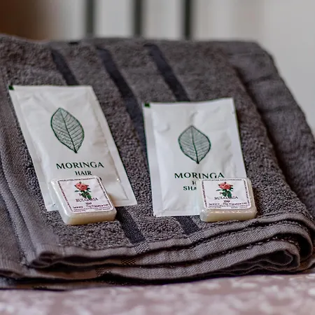 公寓 Lion's Bridge Haven - *